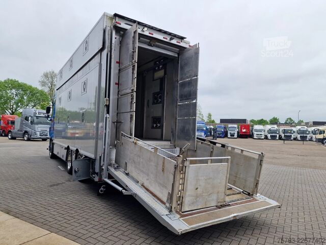 Transport de bétail DAF XF 510 6x2 SuperSpaceCab - Livestock Cuppers 3 ...