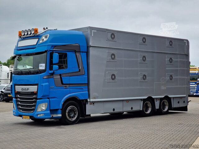 Перевозка крупного рогатого скота DAF XF 510 6x2 SuperSpaceCab - Livestock Cuppers 3 ...