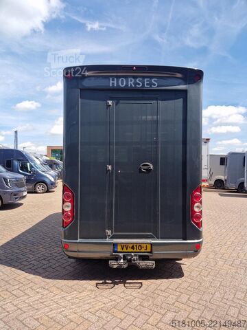 Transporte de caballos Renault Master Roelofsen Parados S3 paardenwagen, pro-s...