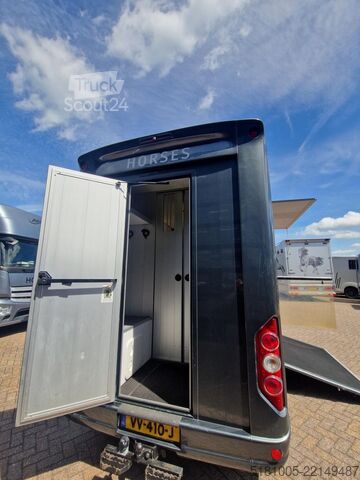 Transporte de caballos Renault Master Roelofsen Parados S3 paardenwagen, pro-s...