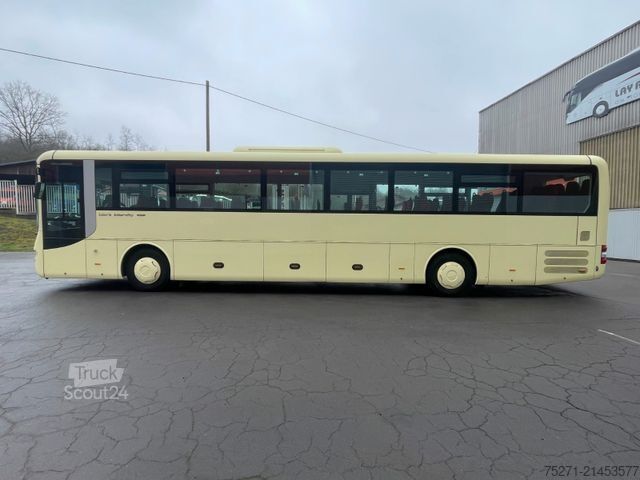 Intercitybus MAN R61 Lion's Intercity C | 6 Fahrzeuge