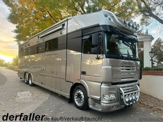 Viehtransporter LKW DAF XF 26510 5 Pferde Popout Mega Wohnung Womozul.