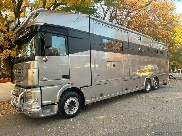 Szarvasmarha-szállító teherautó DAF XF 26510 5 Pferde Popout Mega Wohnung Womozul.
