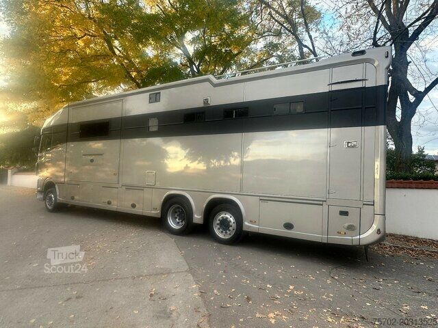 Szarvasmarha-szállító teherautó DAF XF 26510 5 Pferde Popout Mega Wohnung Womozul.