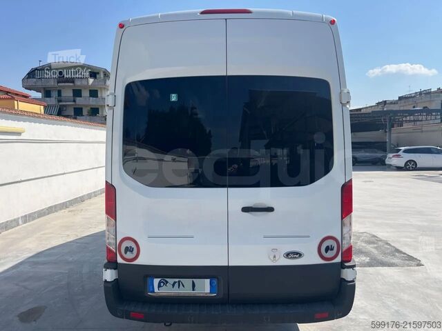 Panel van Ford Transit