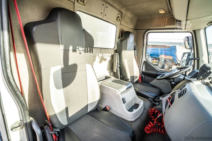 Mala RENAULT D14 250 // HAYON DHOLLANDIA