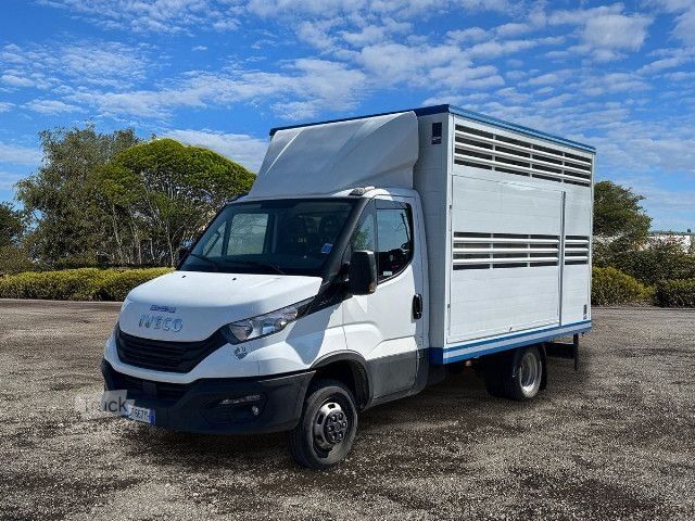 Camión para ganado IVECO 35C14H