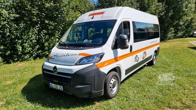 Minibús FIAT Opel Movano und Ducato Flexiboden 6 Schienen