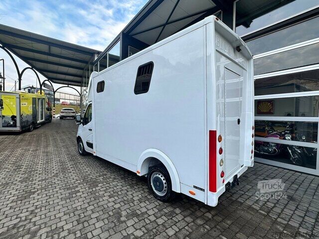 Viehtransporter Renault Master 1-2 Pferde Bloomfields
