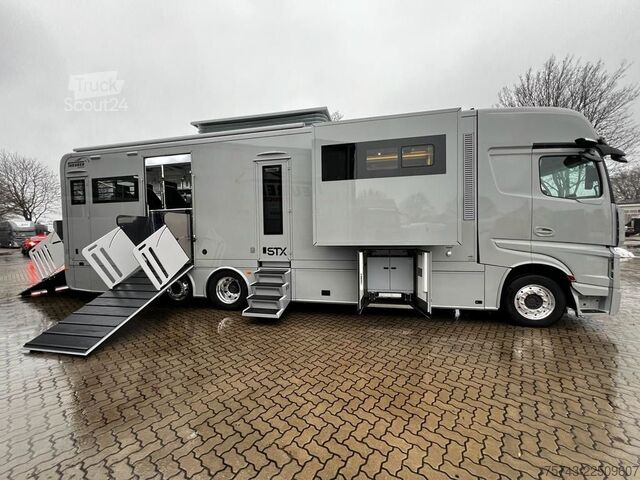 Camión para ganado MERCEDES-BENZ 2651 STX 5 Pferde DOP. POP-OUT+POP-UP  EXKLUSIVE