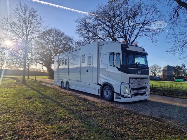 Paarden transport Volvo FH Middle East Specs Volvo FH 420 9 paarden, mi...