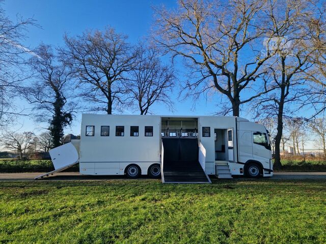 Paarden transport Volvo FH Middle East Specs Volvo FH 420 9 paarden, mi...