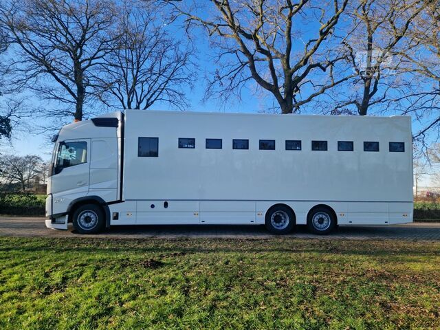 Transporte de cavalos Volvo FH Middle East Specs Volvo FH 420 9 paarden, mi...