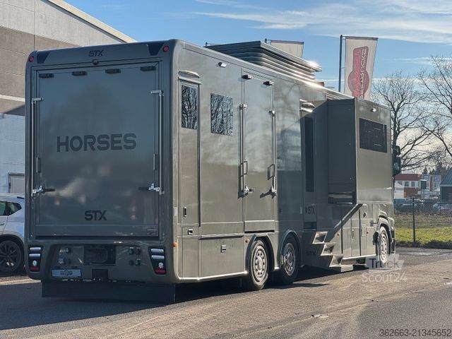 Nákladní vůz pro přepravu dobytka SCANIA S500 STX 5 Pferde m. Doppel PopOut & Mega PushUp