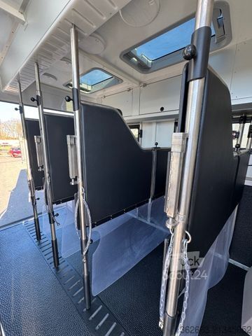 Nákladní vůz pro přepravu dobytka SCANIA S500 STX 5 Pferde m. Doppel PopOut & Mega PushUp
