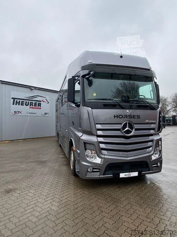 Kreaturvogn MERCEDES-BENZ Actros 2651 STX  Pop-Out,  5 Pferde