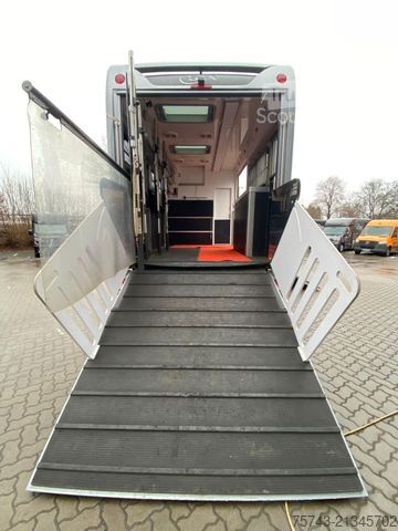 Kreaturvogn MERCEDES-BENZ Actros 2651 STX  Pop-Out,  5 Pferde