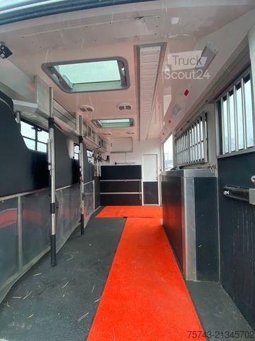 Kreaturvogn MERCEDES-BENZ Actros 2651 STX  Pop-Out,  5 Pferde