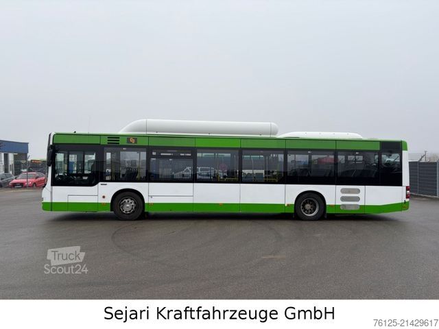 Miesto autobusas MAN A21 CNG Klima / Citaro / A20 A78 / 9 x auf Lager