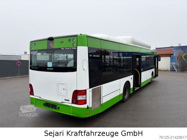 Miesto autobusas MAN A21 CNG Klima / Citaro / A20 A78 / 9 x auf Lager