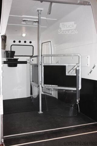 Przyczepa do transportu koni Thiel 2-Pferde Explorer
