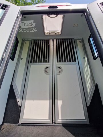 Transport de chevaux Renault Master Occasion paardenwagen dubbele cabine 5 z...