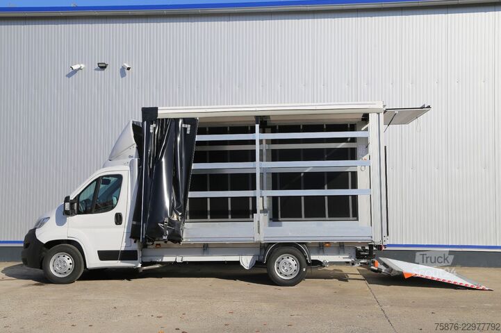 Kombi vozilo sa ceradom OPEL Movano Schiebeplane 420x220x220 LBW