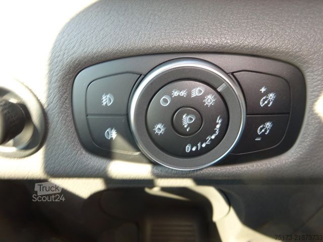 Pick-up bestelwagen FORD Transit Pritsche 350 L3 EK Trend GRA AHK