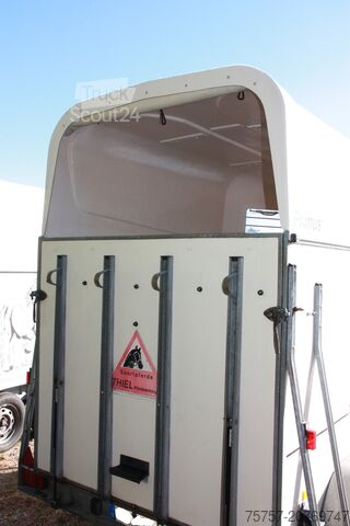 Hestetrailer Thiel / Humbaur 2-Pferdanhänger Primus Poly gebraucht