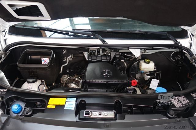 Minibus MERCEDES-BENZ Sprinter Tiefkühler -25 C°RWD 317 Tüv Neu Klima