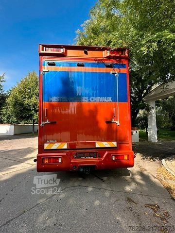 Dyretransportbil SCANIA Pferdetransporter