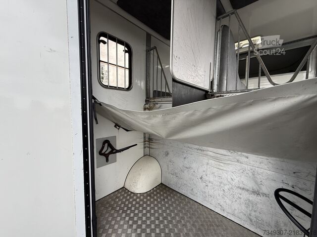 Paarden transport Renault Master | HORSETRUCK | PARAGAN | PRO SAFETY 3 | ...