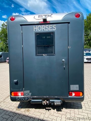 Przyczepa do przewozu bydła RENAULT Master STX 3 Sitzer  Automatik Haras / Hengste