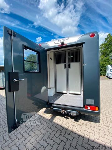 Przyczepa do przewozu bydła RENAULT Master STX 3 Sitzer  Automatik Haras / Hengste
