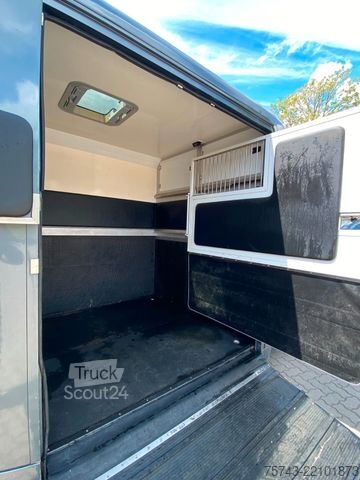 Przyczepa do przewozu bydła RENAULT Master STX 3 Sitzer  Automatik Haras / Hengste