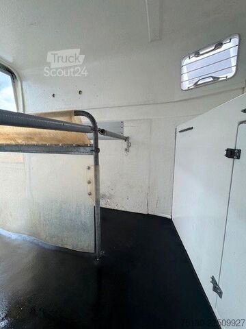Remolque de transporte de caballos BÖCKMANN Top Master 2-Pferdeanhänger Vollpoly