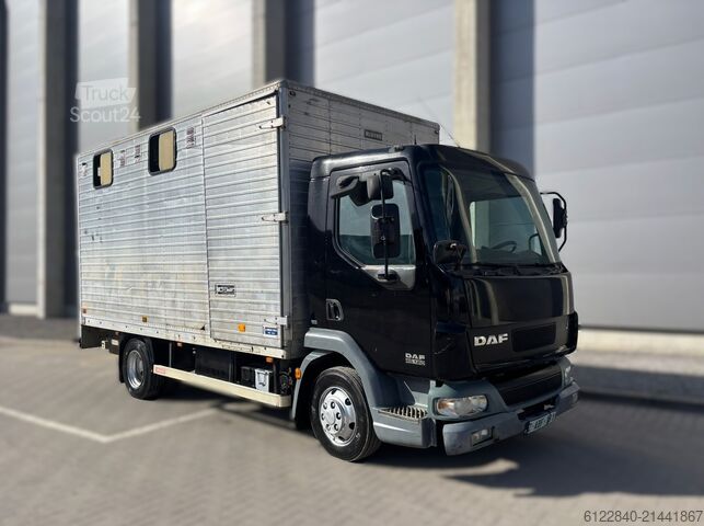 Transporteur de chevaux / Paarden DAF LF 45
