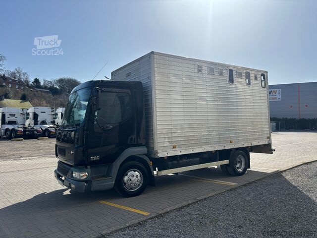 Transporteur de chevaux / Paarden DAF LF 45