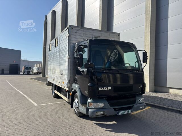 Transporteur de chevaux / Paarden DAF LF 45