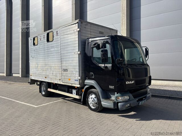 Transporteur de chevaux / Paarden DAF LF 45