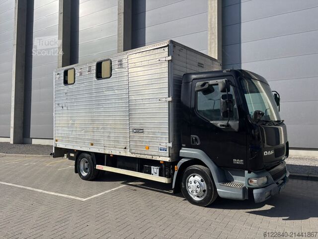 Transporteur de chevaux / Paarden DAF LF 45