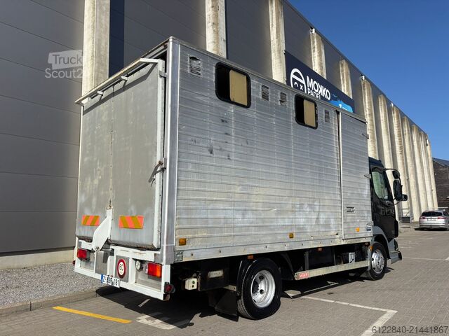 Transporteur de chevaux / Paarden DAF LF 45