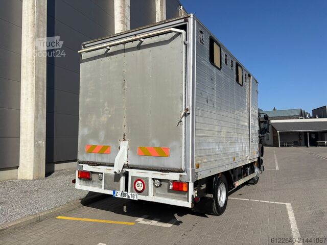 Transporteur de chevaux / Paarden DAF LF 45
