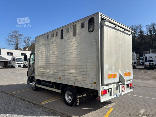 Transporteur de chevaux / Paarden DAF LF 45