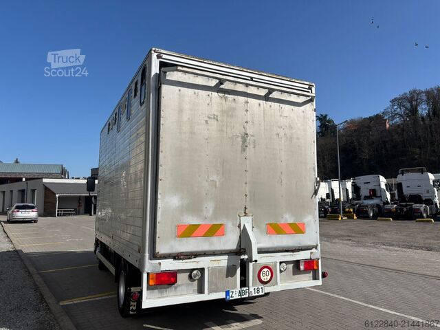 Transporteur de chevaux / Paarden DAF LF 45