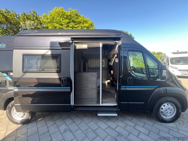 Autocamper BRAVIA