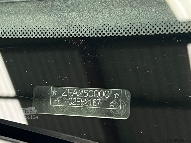 Minibus FIAT Ducato 3.0 Natural Power/CNG/Benzin 9 Sitze Pdc