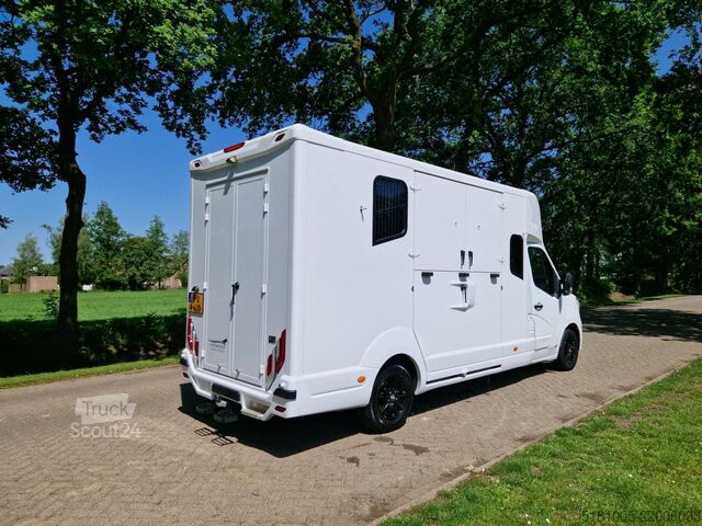 Кінний транспорт Renault Master Occasion paardenwagen MTM voor 2 paarden...