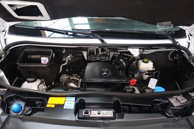 Furgoneta frigorífica MERCEDES-BENZ Sprinter Tiefkühler -25 C°RWD 317 Tüv Neu Klima