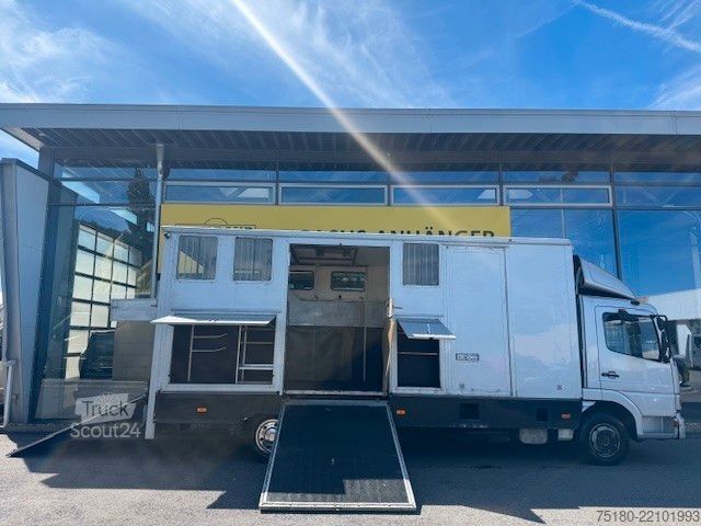 Transporteur de bétail MERCEDES-BENZ Atego 817 Pferdetransporter LKW 4 Pferde  7,5t